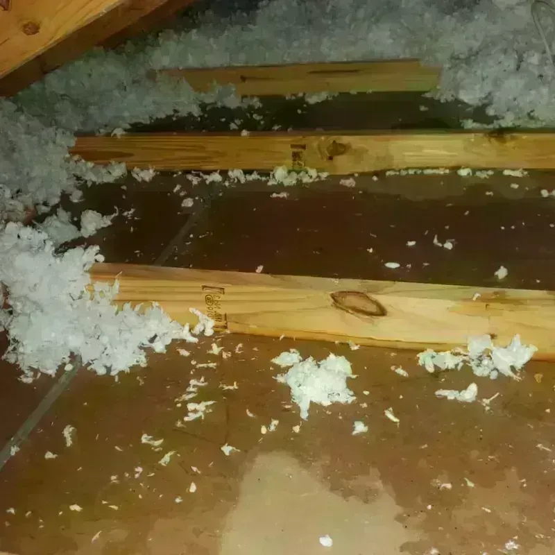 Attic Water Damage in Pottawatomie County, KS