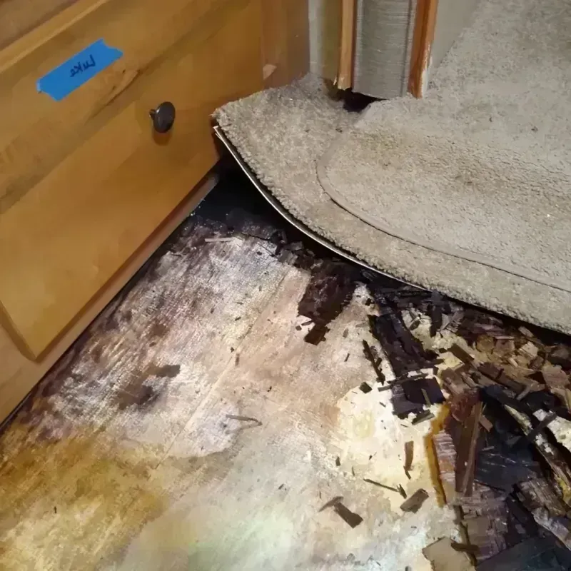 Best Wood Floor Water Damage Service in Pottawatomie County, KS